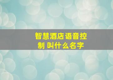 智慧酒店语音控制 叫什么名字